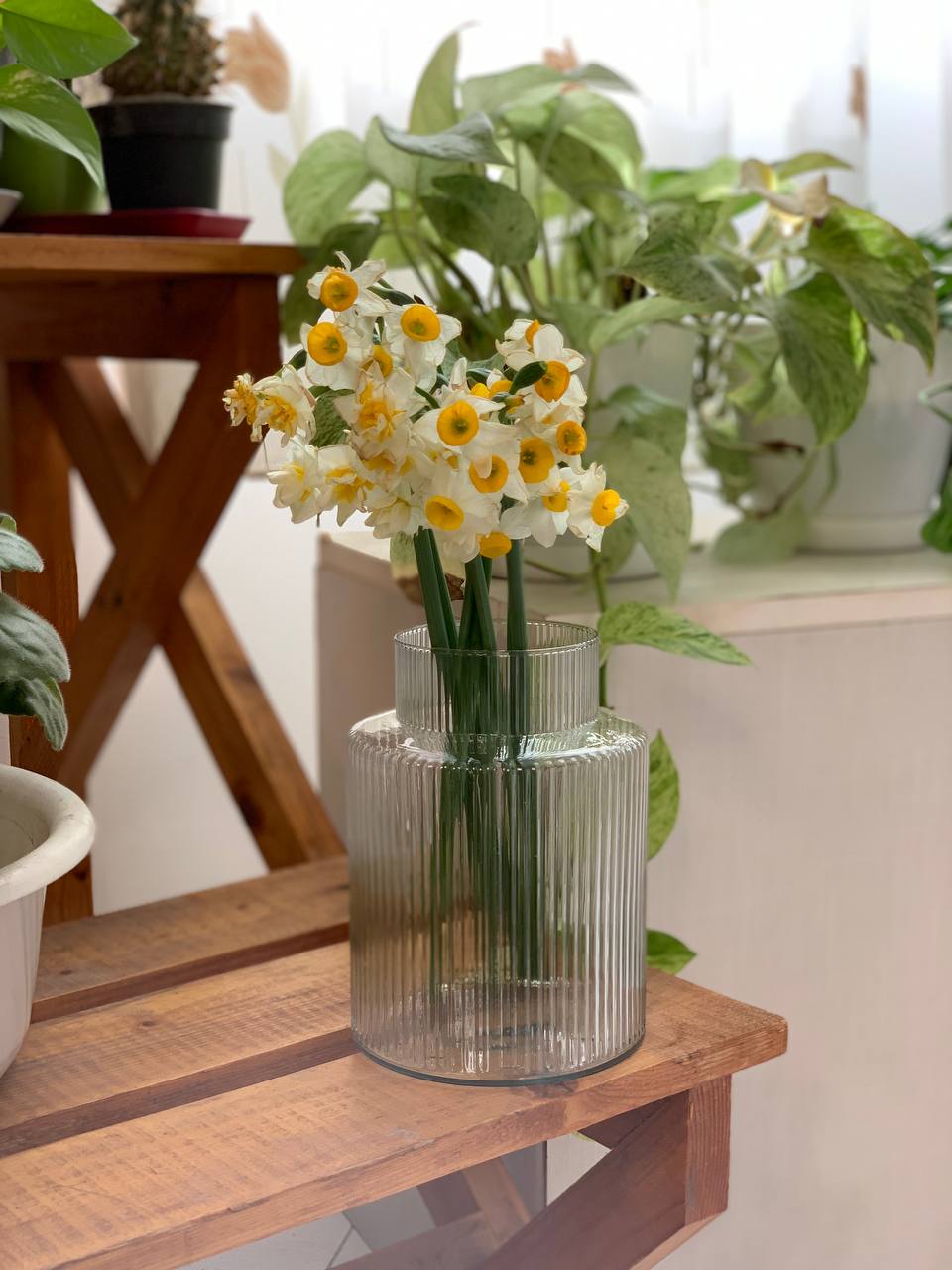 گلدان استاتیس کوچک شیشه ای